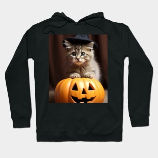 Mystic Purr-kin Hoodie